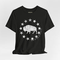 Revolution Apparel Co. – Republic Bison UltraSoft Tee | Heritage Icon Thumbnail Asset Frame 14