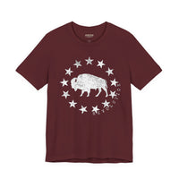 Revolution Apparel Co. – Republic Bison UltraSoft Tee | Heritage Icon Thumbnail Asset Frame 7