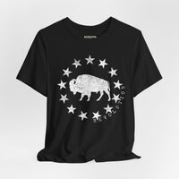 Revolution Apparel Co. – Republic Bison UltraSoft Tee | Heritage Icon Thumbnail Asset Frame 11