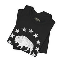 Revolution Apparel Co. – Republic Bison UltraSoft Tee | Heritage Icon Thumbnail Asset Frame 10