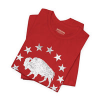 Revolution Apparel Co. – Republic Bison UltraSoft Tee | Heritage Icon Thumbnail Asset Frame 31