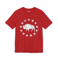 Revolution Apparel Co. – Republic Bison UltraSoft Tee | Heritage Icon Thumbnail Asset Frame 8