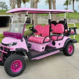 REVO PINK PANTHER